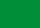RAL 6037